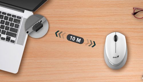 MOUSE GENIUS NX-7009 ERGO WIRELESS WHITE