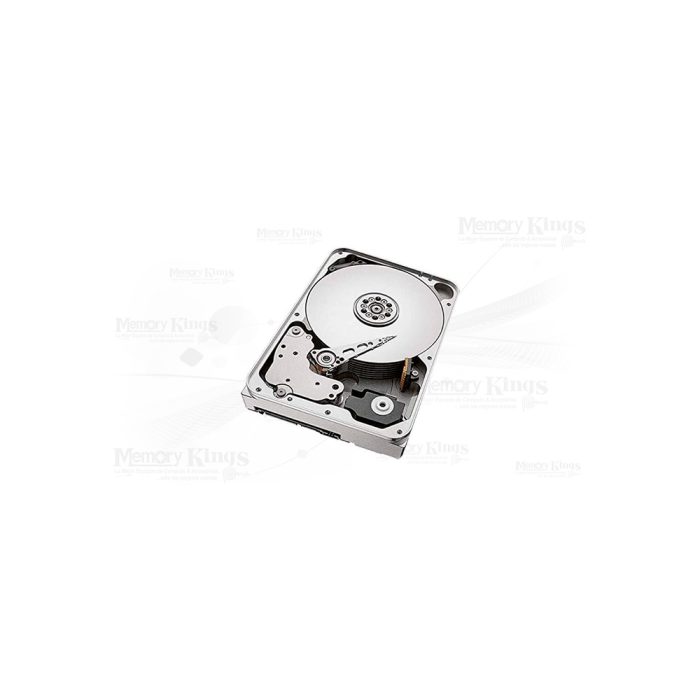Hd Sea Ironwolf 12Tb Sata Nas