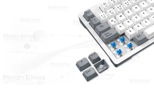 TECLADO Gaming ANTRYX MK-840L TKL SW BLUE RGB WHITE